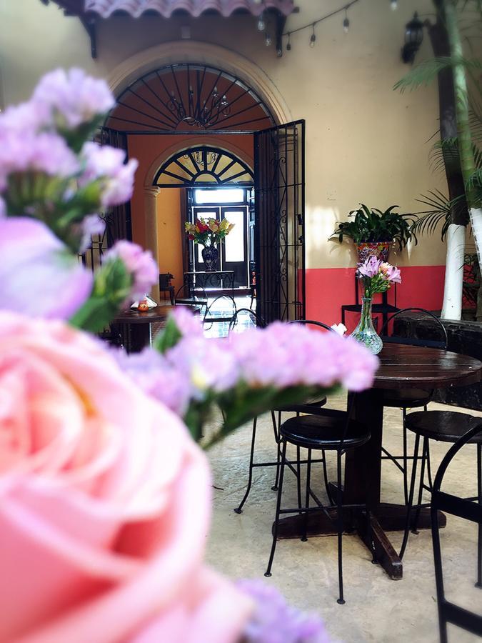 Casa Catrina&Diego Hotel Merida Ngoại thất bức ảnh