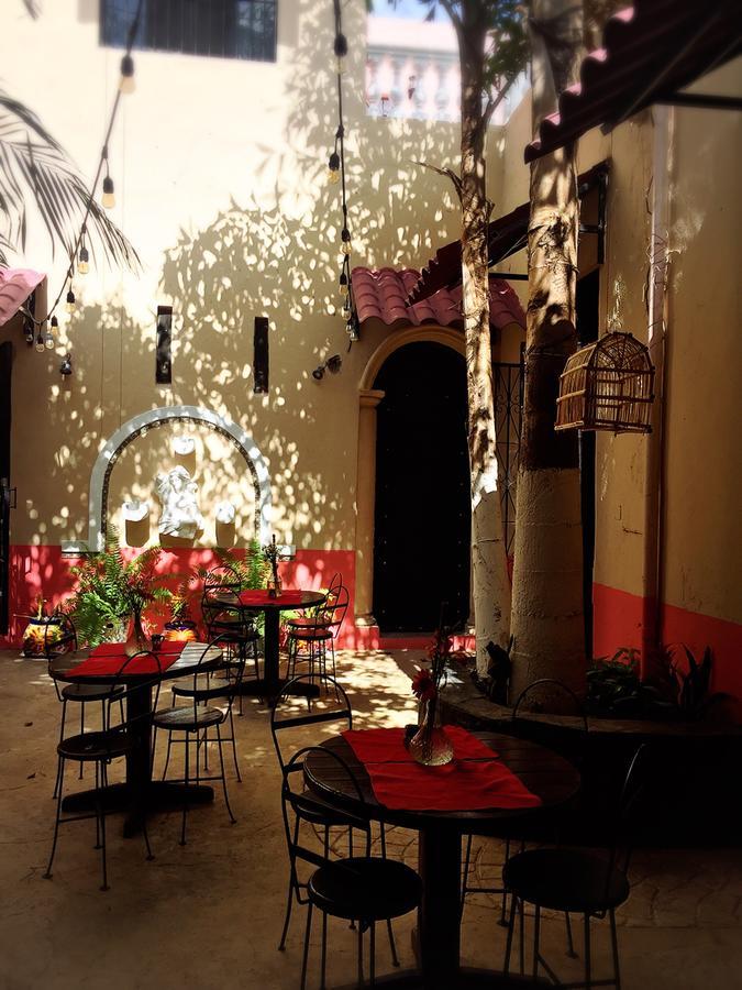 Casa Catrina&Diego Hotel Merida Ngoại thất bức ảnh